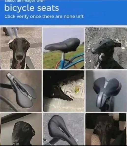 Selecione todas as imagens com assentos de bicicleta. Clique em verificar quando não houver mais nenhum.