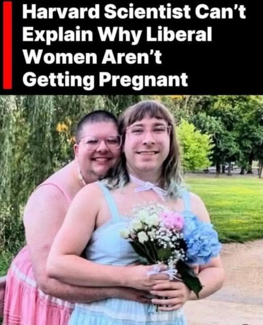 Harvard Scientist Can't Explain Why Liberal Women Aren't Getting Pregnant