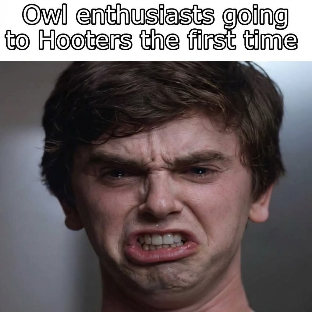 Owl enthusiasts going to Hooters the first time