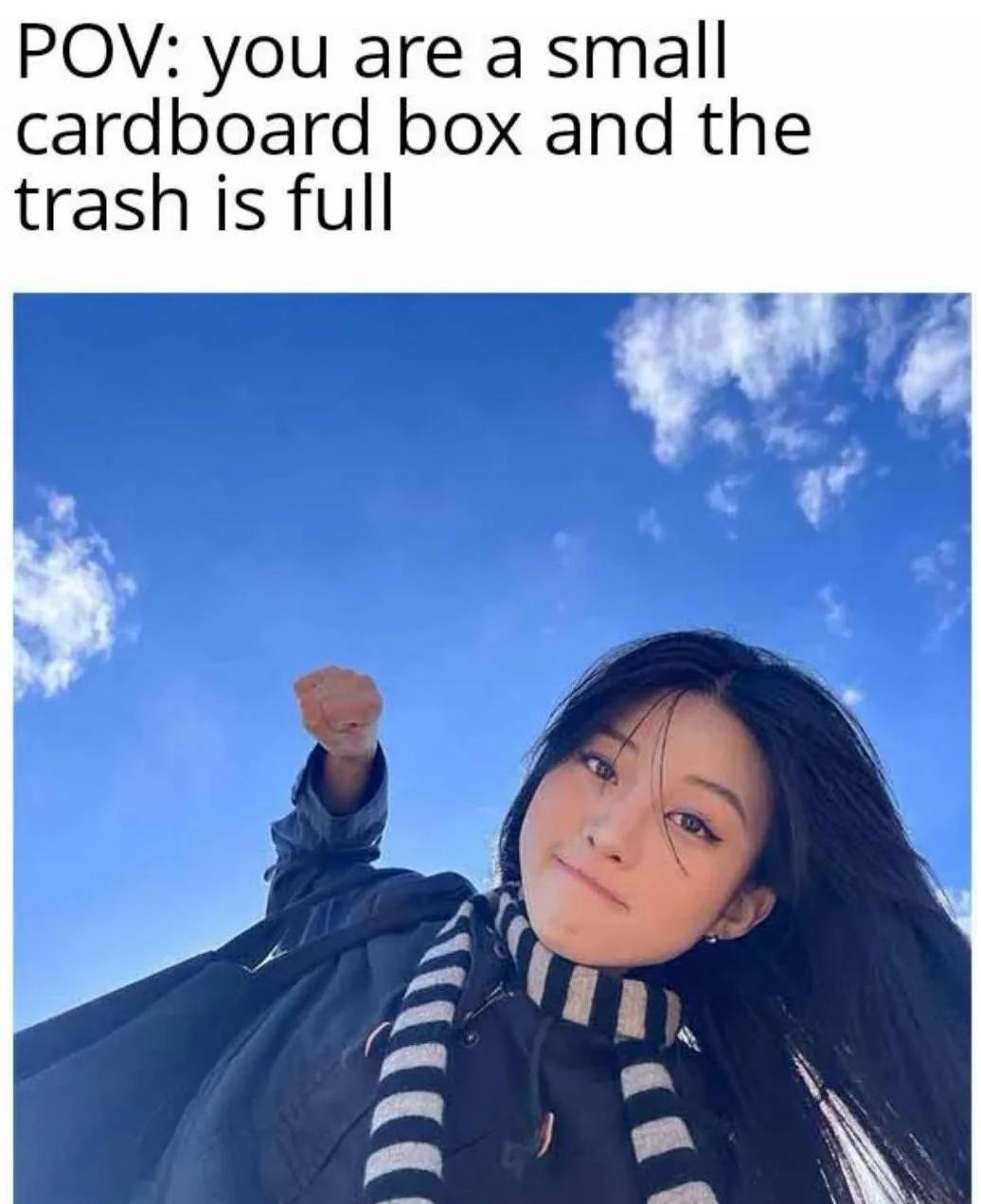 POV: you are a small cardboard box and the trash is full
