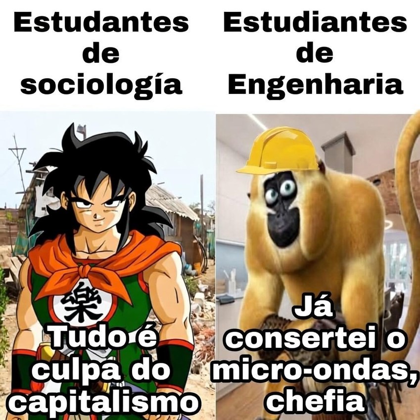 Estudantes de sociologia Tudo é culpa do capitalismo Estudantes de Engenharia Já consertei o micro-ondas, chefia