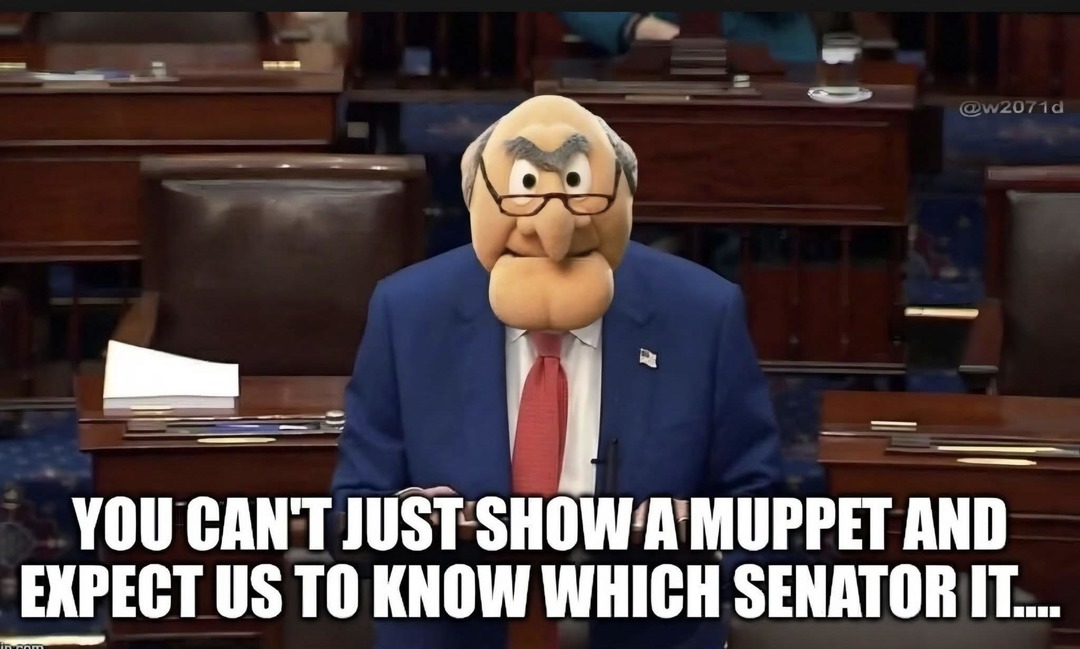 YOU CAN'T JUST SHOW A MUPPET AND EXPECT US TO KNOW WHICH SENATOR IT....