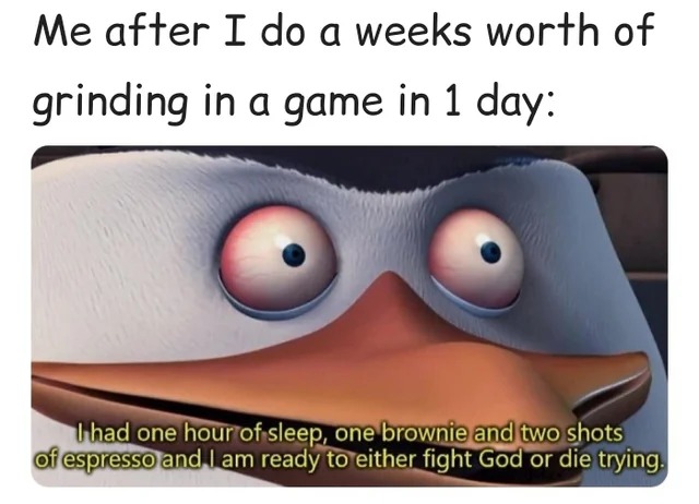 Me after I do a weeks worth of grinding in a game in 1 day: I had one hour of sleep, one brownie and two shots of espresso and I am ready to either fight God or die trying.
