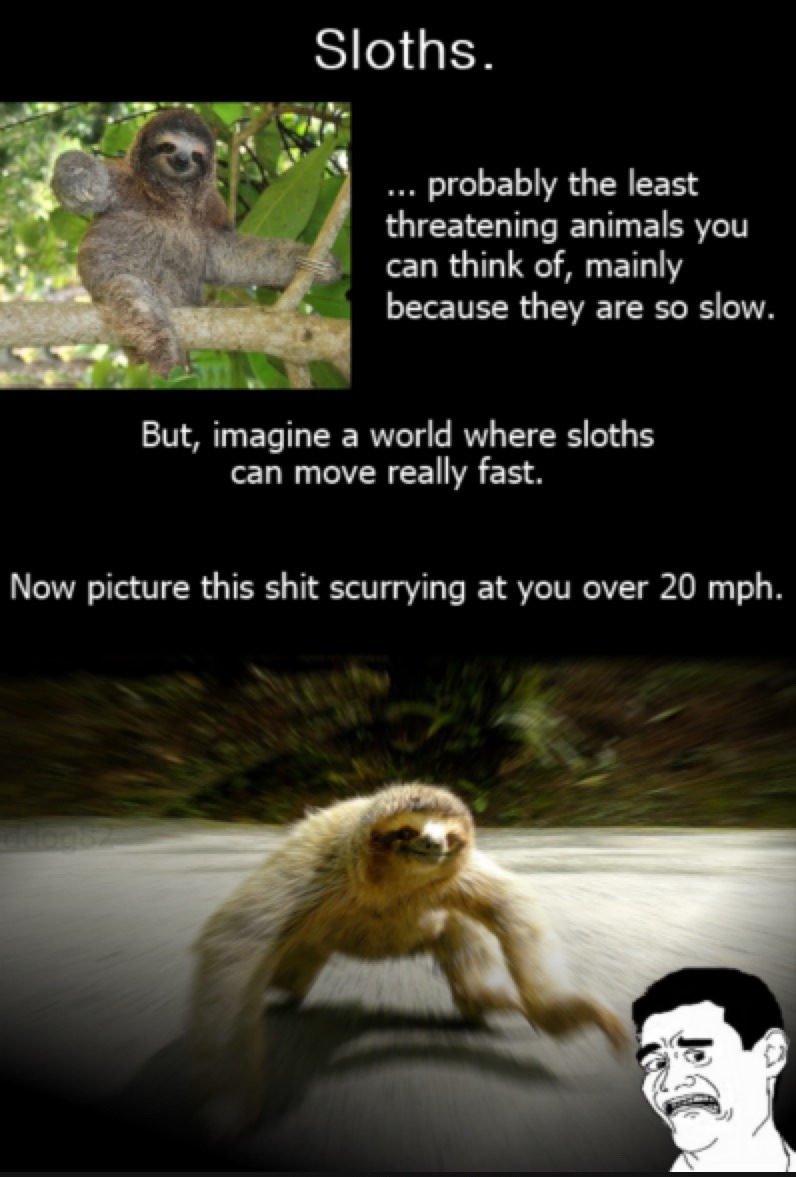 Sloths. ... probably the least threatening animals you can think of, mainly because they are so slow. But, imagine a world where sloths can move really fast. Now picture this shit scurrying at you over 20 mph.