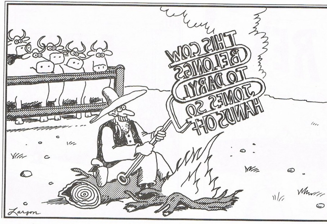 THIS COW BELONGS TO DARYL SO HANDS OFF