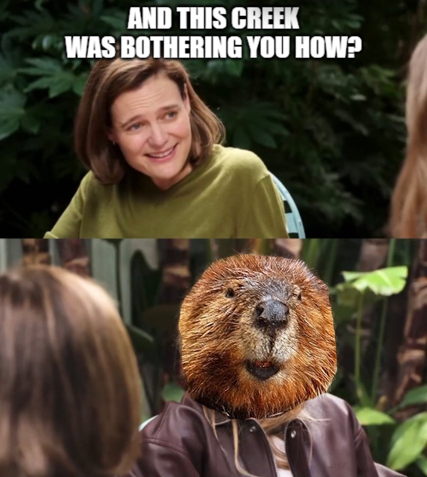 AND THIS CREEK WAS BOTHERING YOU HOW?