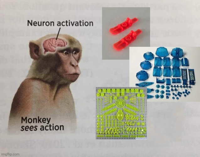 Neuron activation Monkey sees action