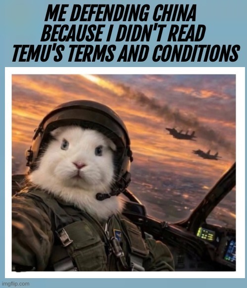 ME DEFENDING CHINA BECAUSE I DIDN'T READ TEMU'S TERMS AND CONDITIONS