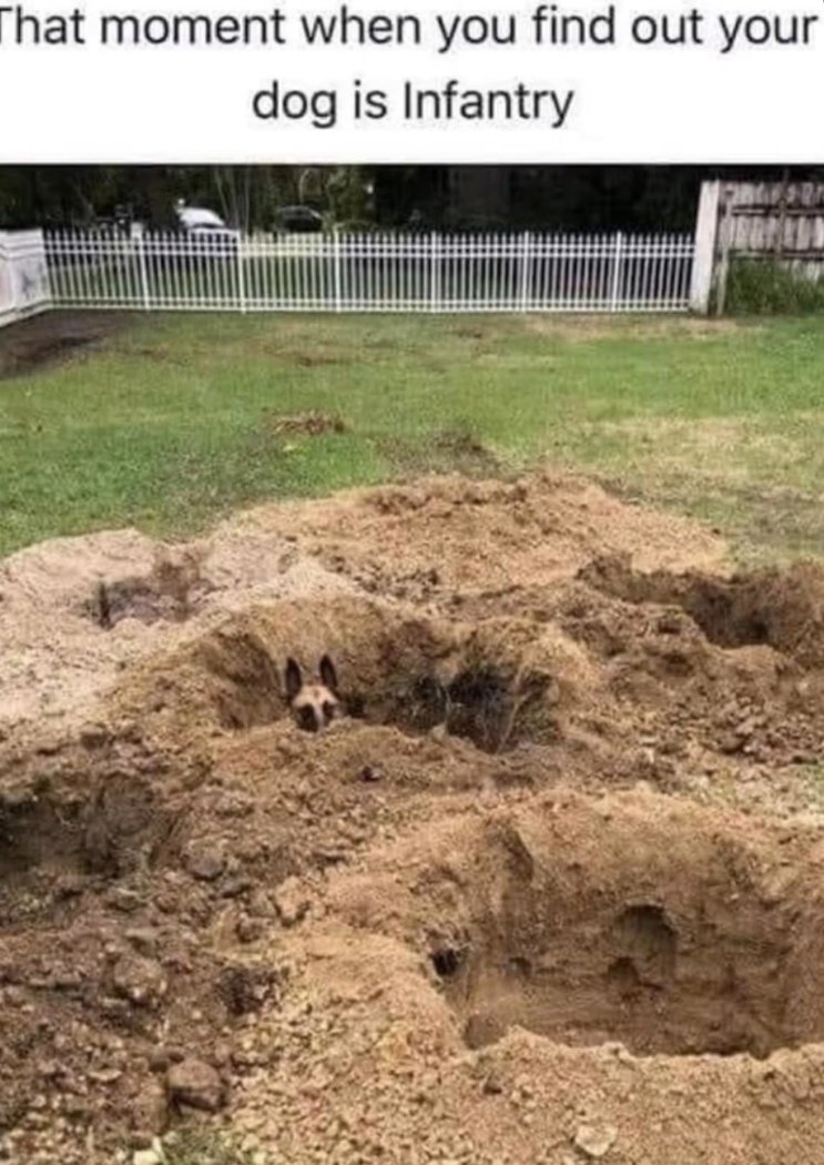That moment when you find out your dog is Infantry