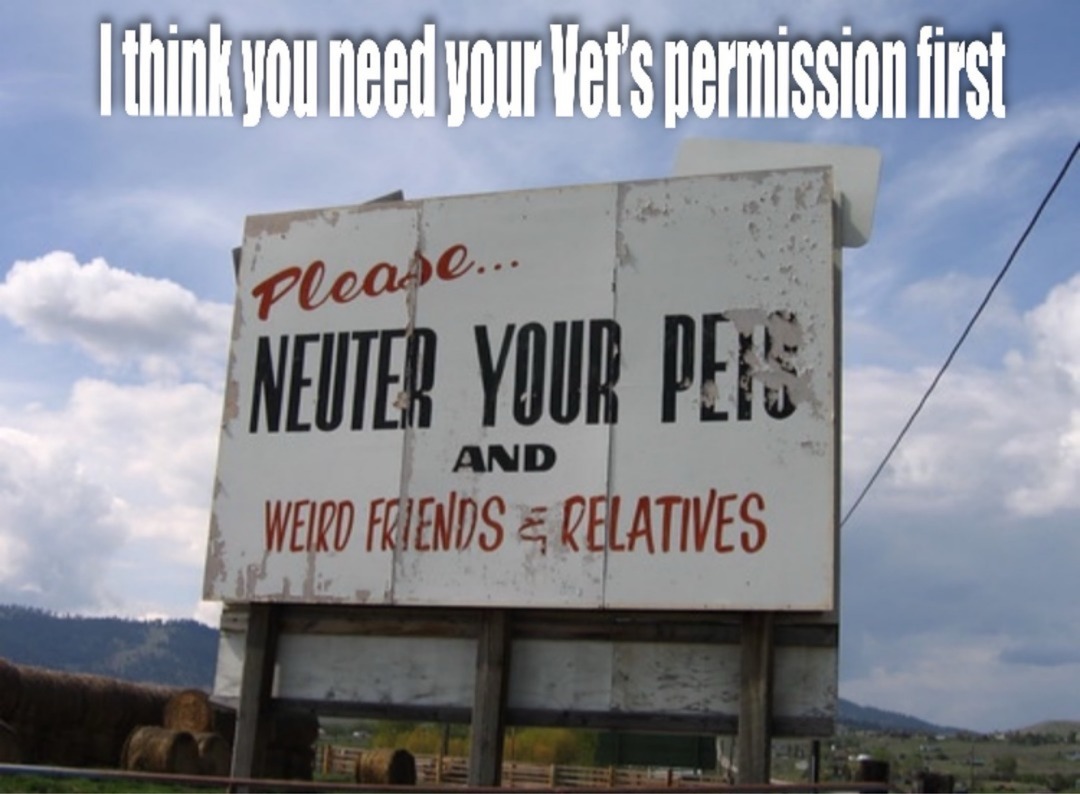 I think you need your Vet's permission first. Please... NEUTER YOUR PETS AND WEIRD FRIENDS & RELATIVES