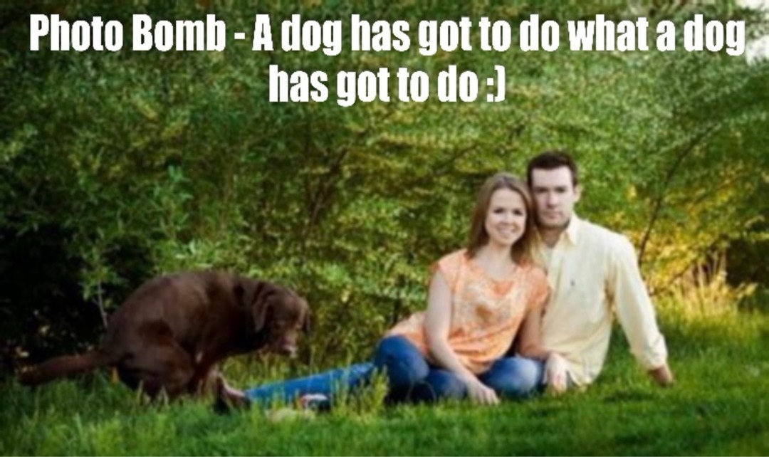 Photo Bomb - A dog has got to do what a dog has got to do :)