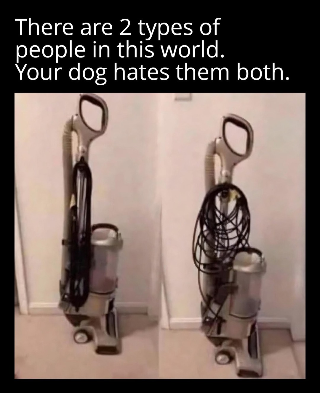 There are 2 types of people in this world. Your dog hates them both.