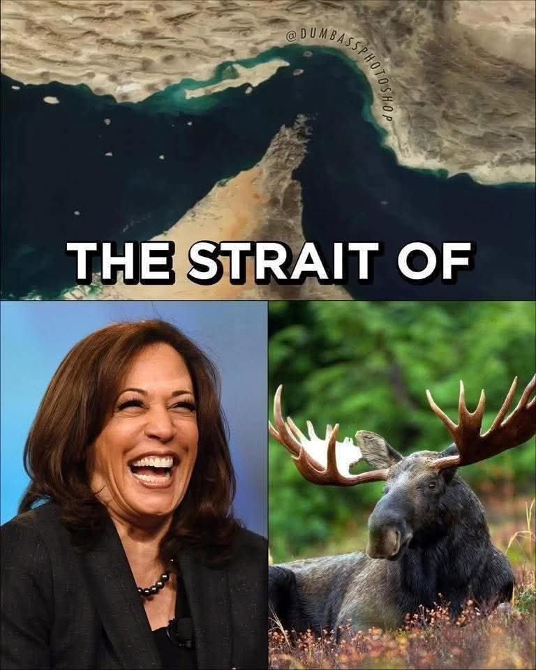 THE STRAIT OF Harris Moose. Watermark: @DUMBASS PHOTOSHOP.