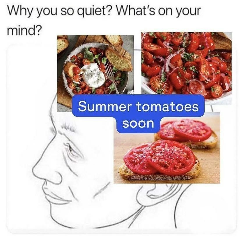 Why you so quiet? What's on your mind? Summer tomatoes soon