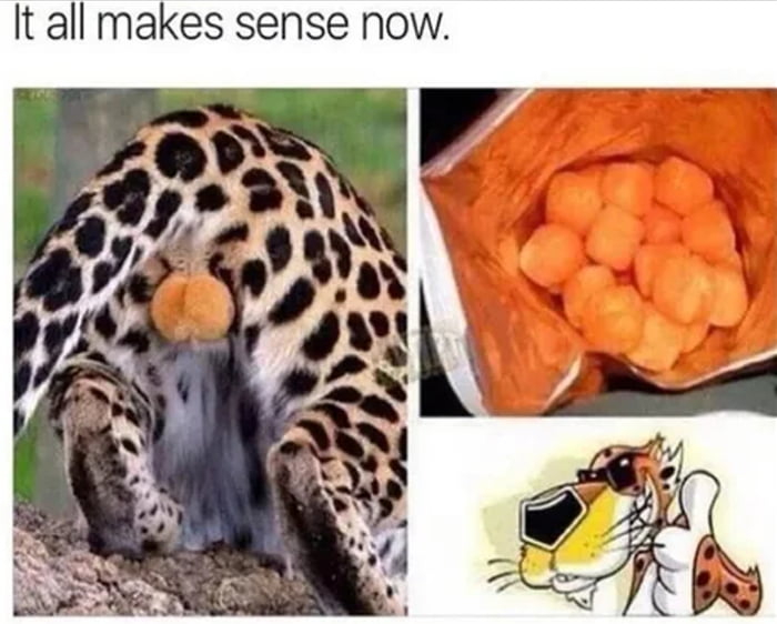 It all makes sense now.