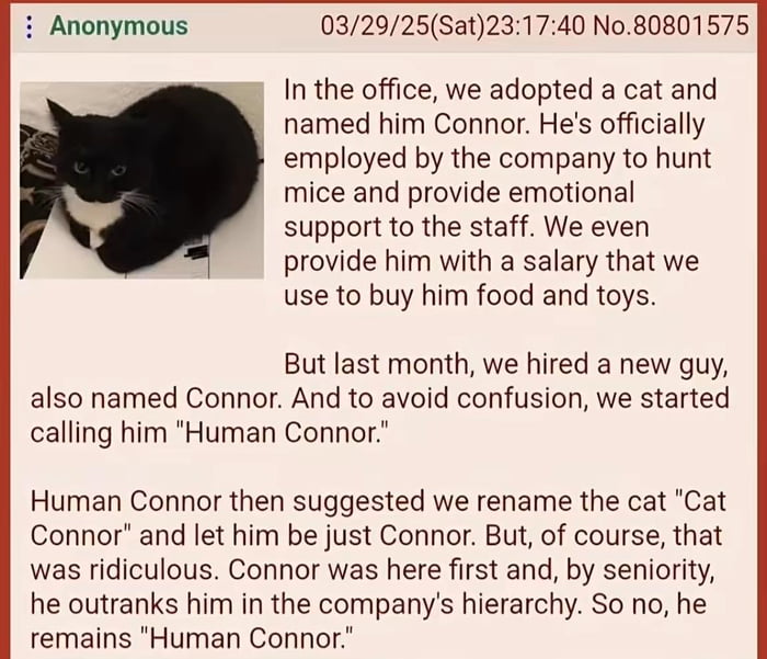 In the office, we adopted a cat and named him Connor. He's officially employed by the company to hunt mice and provide emotional support to the staff. We even provide him with a salary that we use to buy him food and toys.
But last month, we hired a new guy, also named Connor. And to avoid confusion, we started calling him 