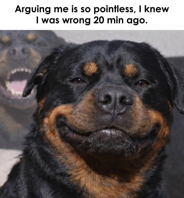 Arguing me is so pointless, I knew I was wrong 20 min ago.
