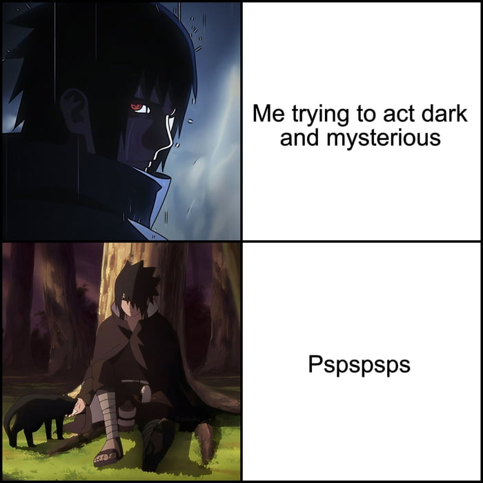 Me trying to act dark and mysterious Pspspspsps