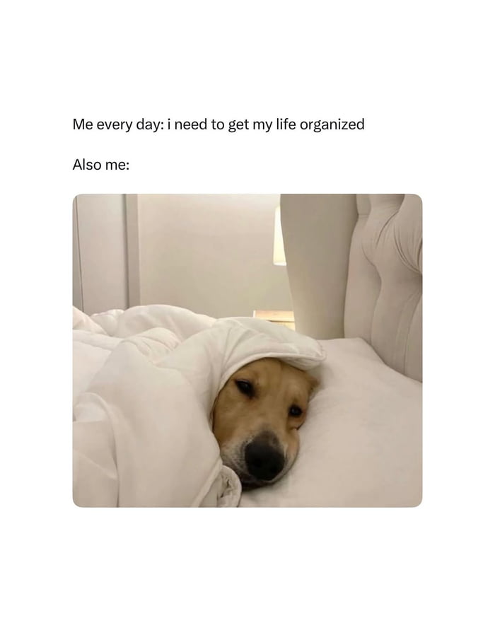 Me every day: i need to get my life organized. Also me: