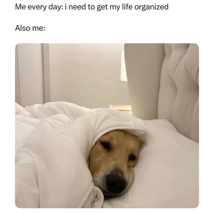 Me every day: i need to get my life organized Also me: