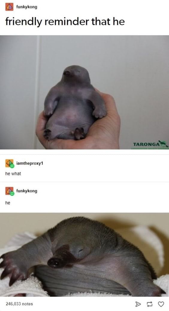 friendly reminder that he he what he TARONGA CONSERVATION SOCIETY