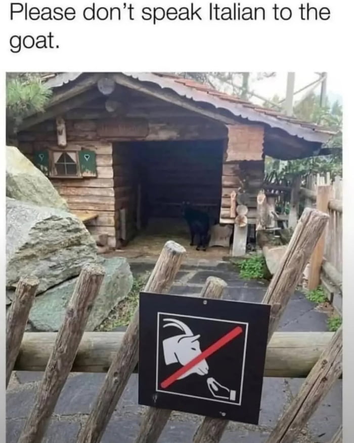 Please don't speak Italian to the goat.