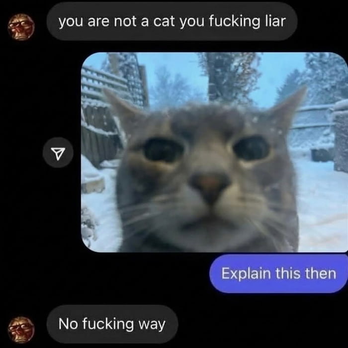 you are not a cat you fucking liar Explain this then No fucking way