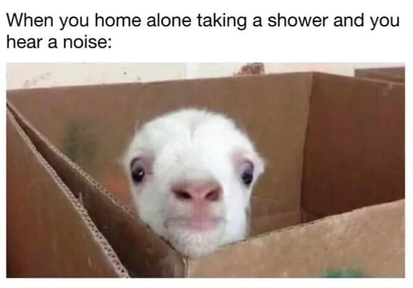 When you home alone taking a shower and you hear a noise: