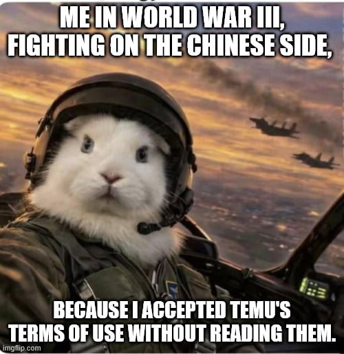 ME IN WORLD WAR III, FIGHTING ON THE CHINESE SIDE, BECAUSE I ACCEPTED TEMU'S TERMS OF USE WITHOUT READING THEM.