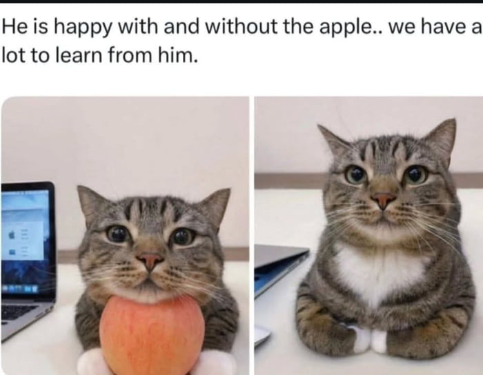 He is happy with and without the apple.. we have a lot to learn from him.