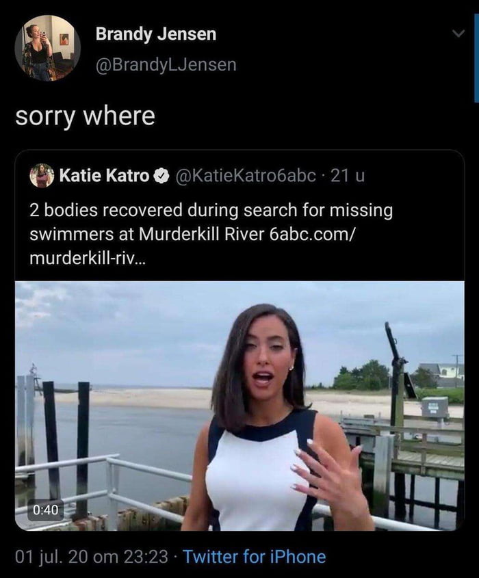 sorry where 2 bodies recovered during search for missing swimmers at Murderkill River