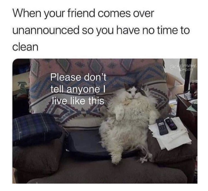 When your friend comes over unannounced so you have no time to clean. Please don't tell anyone I live like this.