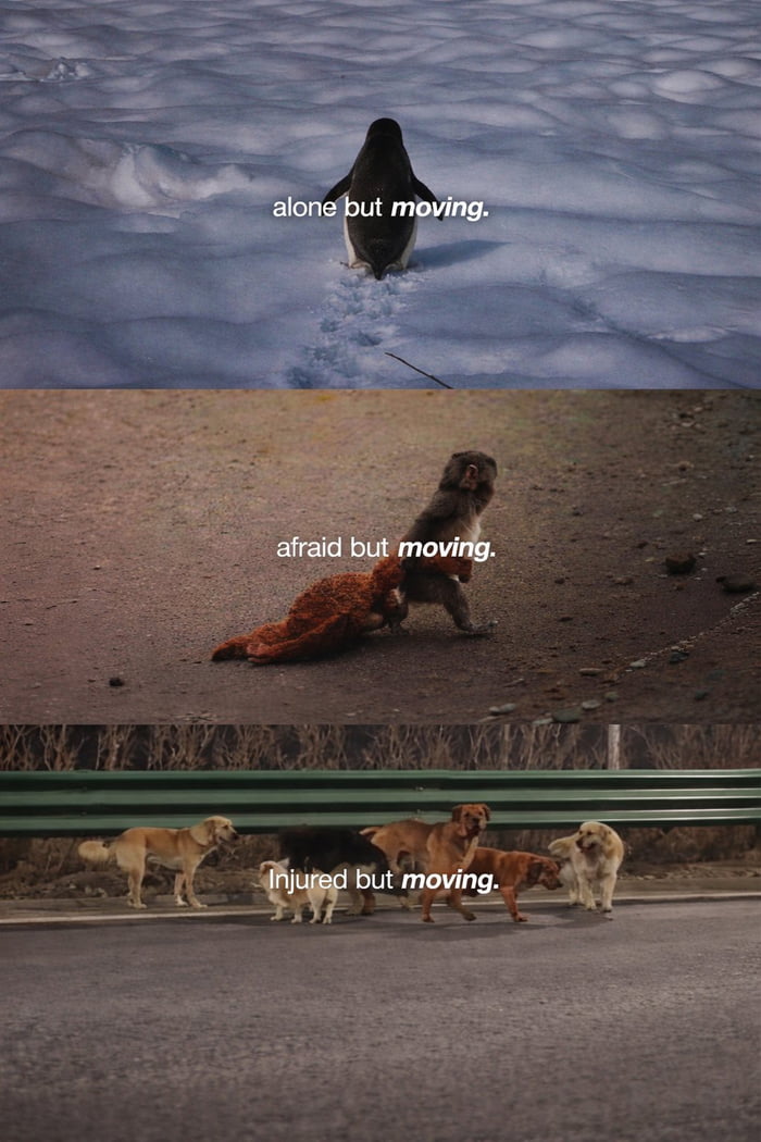 alone but moving. afraid but moving. Injured but moving.