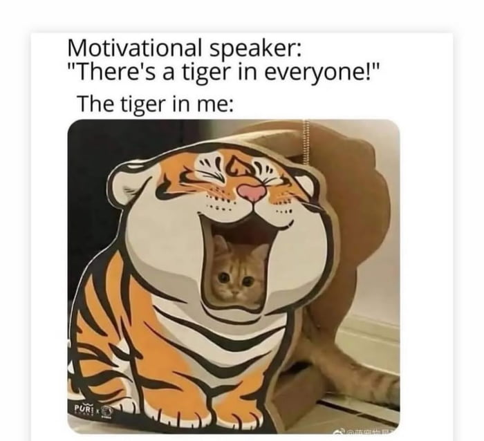 Motivational speaker: 