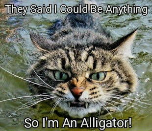 They Said I Could Be Anything So I'm An Alligator!