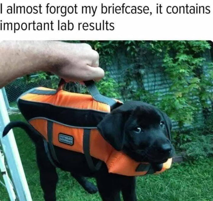 I almost forgot my briefcase, it contains important lab results
