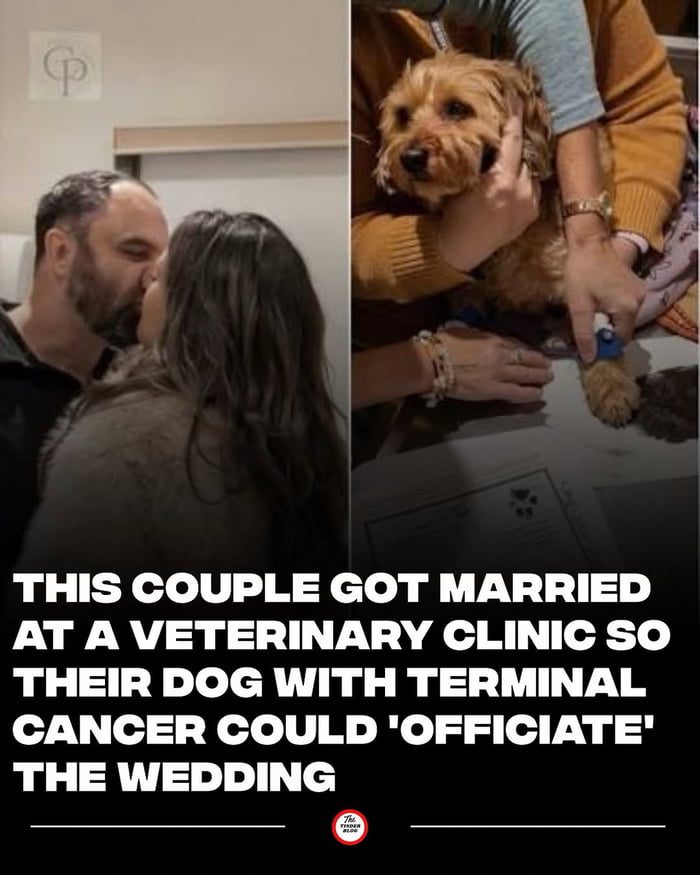 THIS COUPLE GOT MARRIED AT A VETERINARY CLINIC SO THEIR DOG WITH TERMINAL CANCER COULD 'OFFICIATE' THE WEDDING