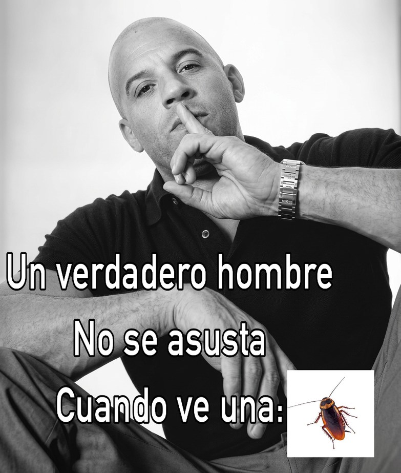 Un verdadero hombre No se asusta Cuando ve una: [imagen de cucaracha]