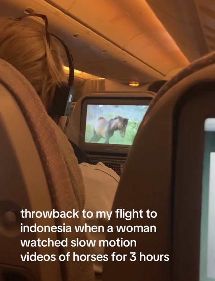 recuerdo de mi vuelo a Indonesia cuando una mujer vio videos de caballos en cámara lenta durante 3 horas
