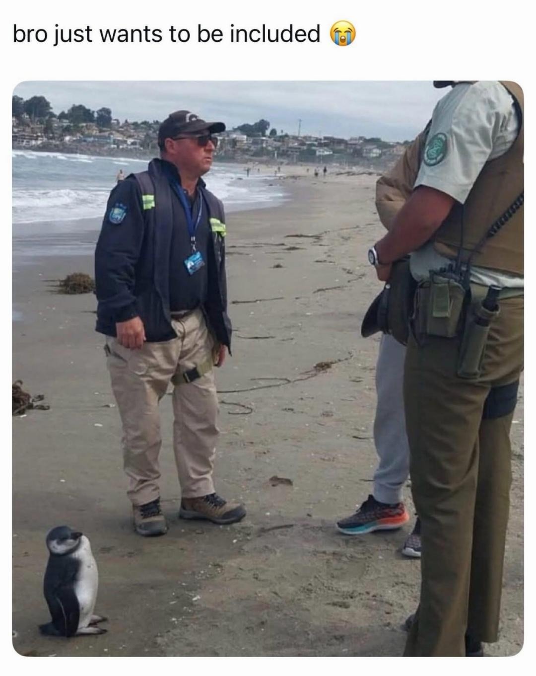 bro just wants to be included 😭