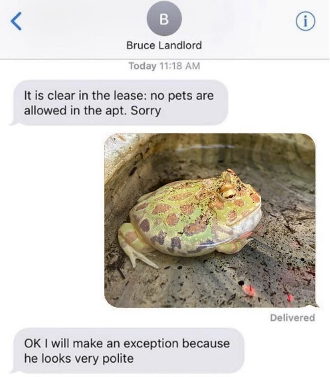 Bruce Landlord. Today 11:18 AM. It is clear in the lease: no pets are allowed in the apt. Sorry. OK I will make an exception because he looks very polite.