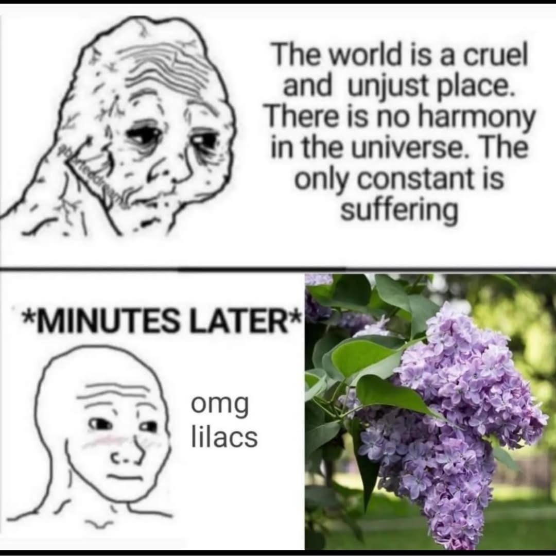 The world is a cruel and unjust place. There is no harmony in the universe. The only constant is suffering. *MINUTES LATER* omg lilacs