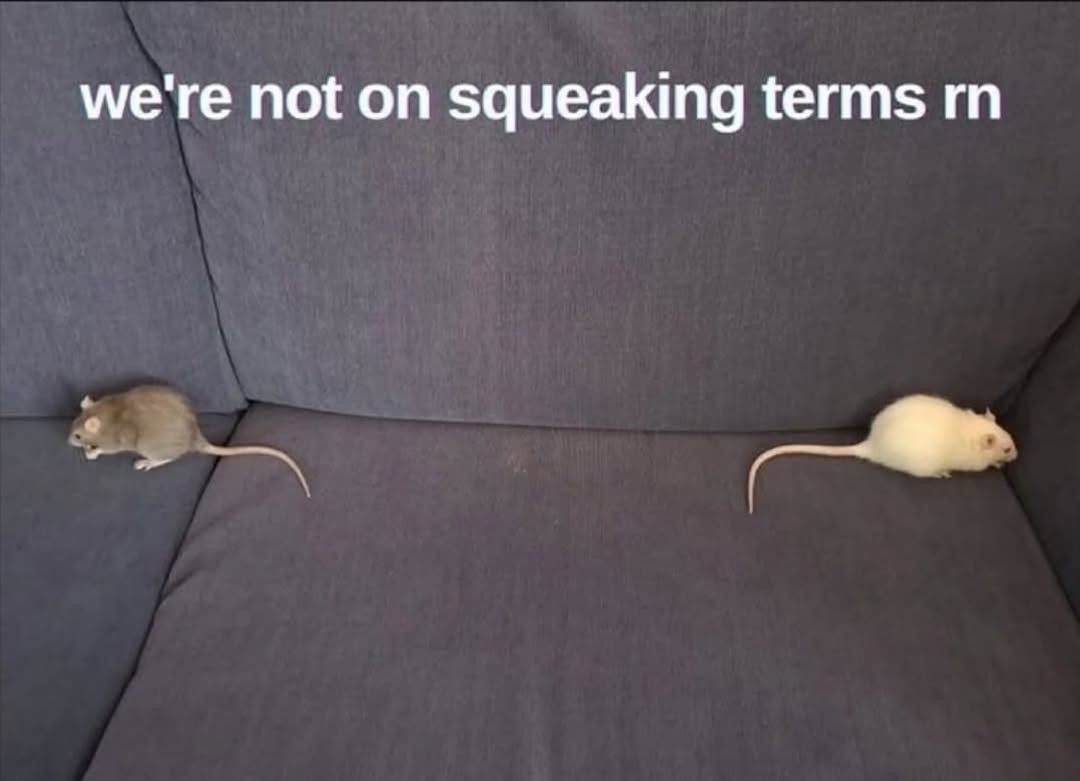 we're not on squeaking terms rn