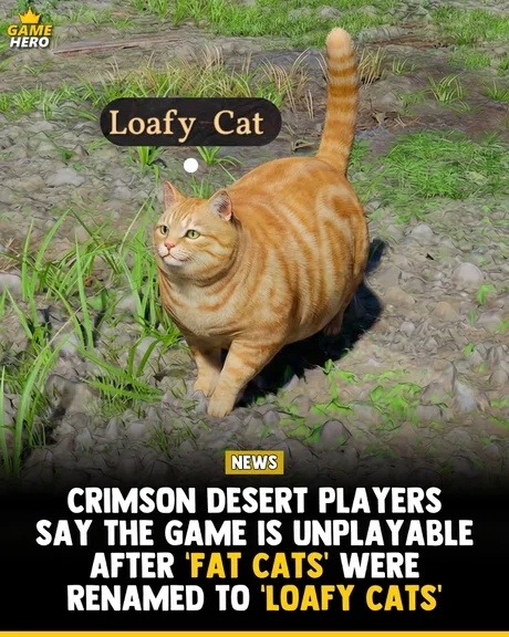 GAME HERO Loafy Cat NEWS CRIMSON DESERT PLAYERS SAY THE GAME IS UNPLAYABLE AFTER 'FAT CATS' WERE RENAMED TO 'LOAFY CATS'