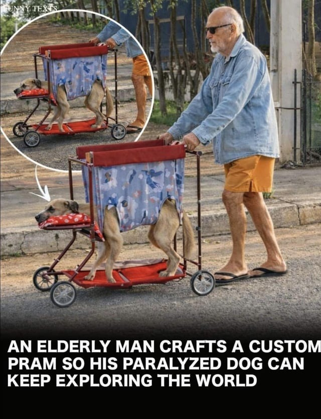 FUNNY TEXTS AN ELDERLY MAN CRAFTS A CUSTOM PRAM SO HIS PARALYZED DOG CAN KEEP EXPLORING THE WORLD