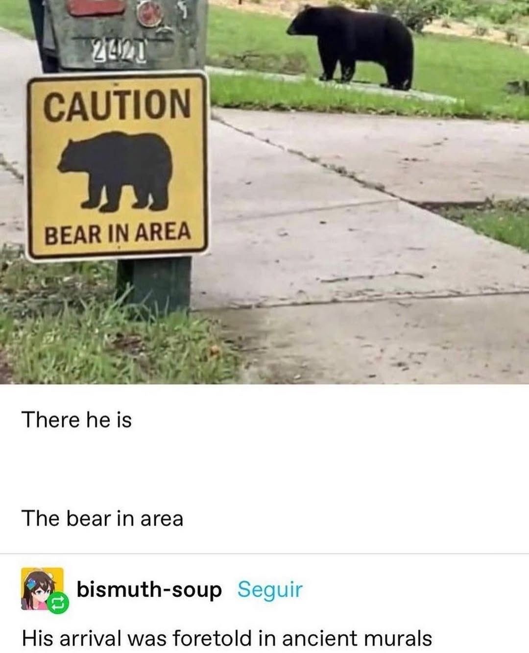 CAUTION BEAR IN AREA. There he is. The bear in area. His arrival was foretold in ancient murals.