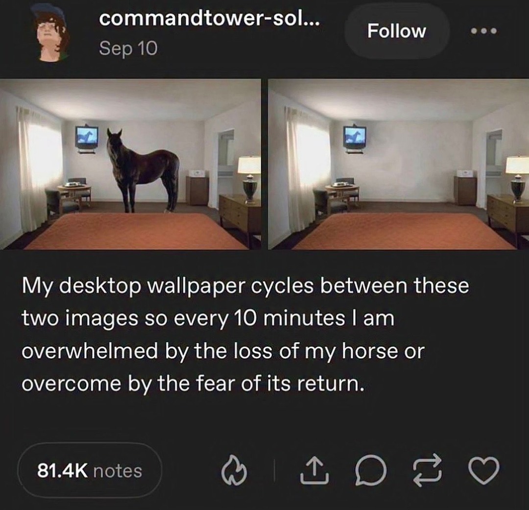 My desktop wallpaper cycles between these two images so every 10 minutes I am overwhelmed by the loss of my horse or overcome by the fear of its return.