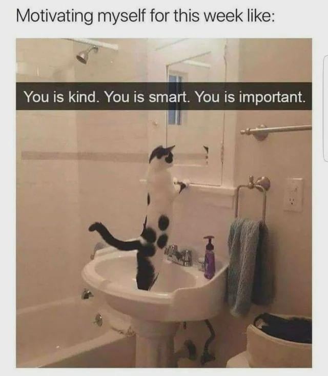 Motivating myself for this week like: You is kind. You is smart. You is important.