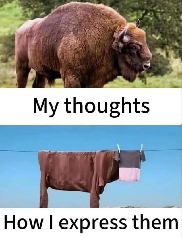 My thoughts. How I express them.