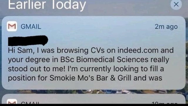 Earlier Today. GMAIL 2m ago. Hi Sam, I was browsing CVs on indeed.com and your degree in BSc Biomedical Sciences really stood out to me! I'm currently looking to fill a position for Smokie Mo's Bar & Grill and was